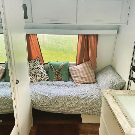 Cosy Caravan At Carrigeen Glamping Hotel Kilkenny Exterior photo