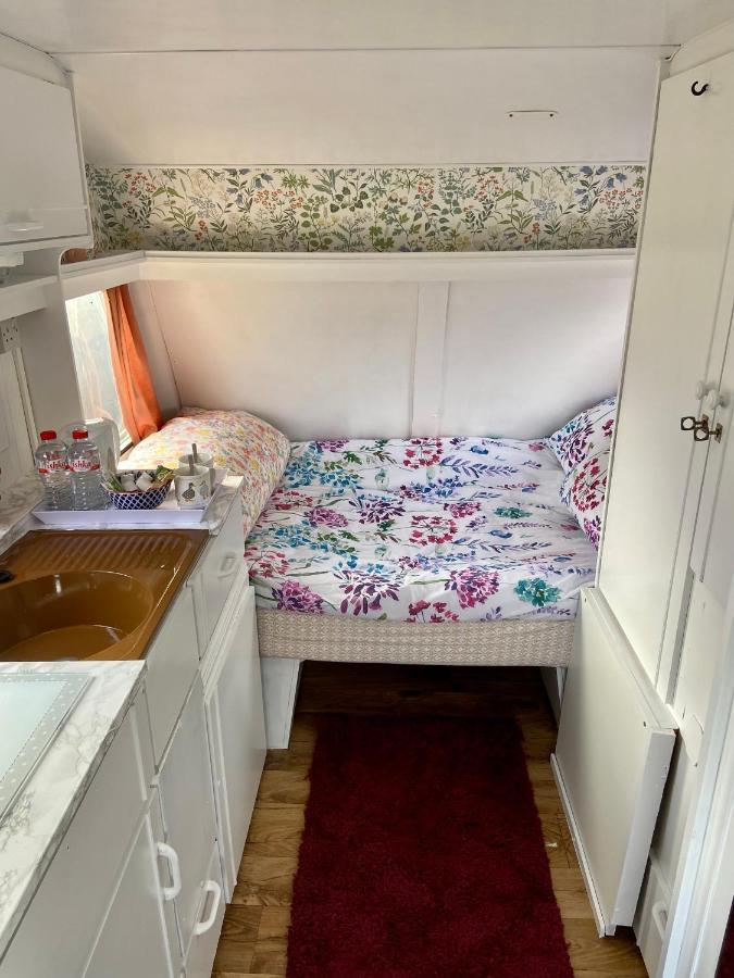 Cosy Caravan At Carrigeen Glamping Hotel Kilkenny Exterior photo